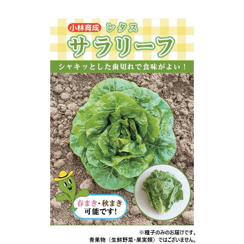 ���Ӽ��� �쥿����� ����꡼�ա�9610��������L1000γ