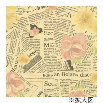 �������������� �����ॺ�ե� Ⱦ��Ƚ��49-1519��50��