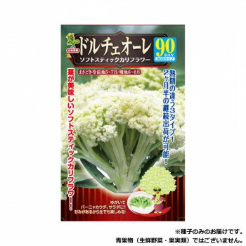 小林種苗 カリフラワー種子 ドルチェオーレ90　4681　10ml