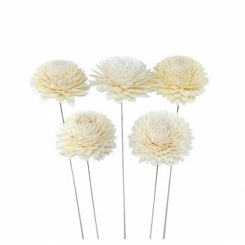 ソラフラワー ステムタイプ4 ナチュラル(1束/5本) Z-0352 MUM-B 57r5000000002