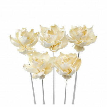 ソラフラワー ステムタイプ4 ナチュラル(1束/5本) Z-0357 GARDENIA 57r6000000002