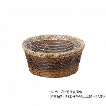 大橋新治商店 ホルツ寄サークルM 23-155