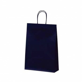 �ޥåȥХå�(L)������ �ͥ��ӡ� 1066 10��