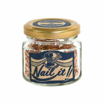 Nail it!! ネイルイット 釘 瓶入り 17×19 銅 NB70003