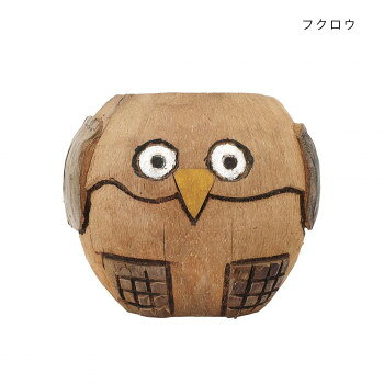 おすすめココナッツをくり貫いて作った、ユニークな表情のプランターです。観葉植物やエアプランツなどを入れてお楽しみください!サイズ約φ18×H17cm個装サイズ：19×19×18cm重量個装重量：740g素材・材質ココナッツ生産国フィリピンfk094igrjs