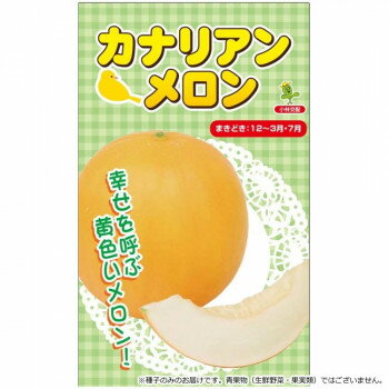 Other - 小林種苗 メロン種子 カナリアン　8134　小袋(7粒)