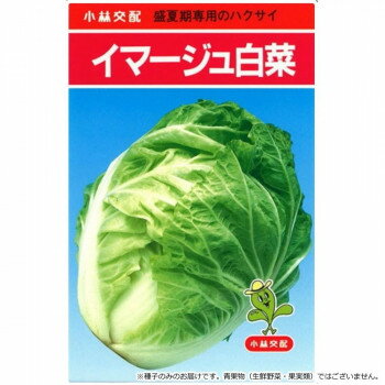 小林種苗 ハクサイ種子 イマージュ 15 小袋(2ml)