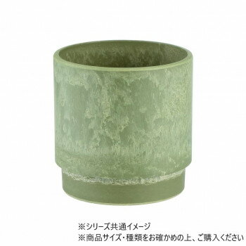 SKステップ ユーログリーン 12×H12　3d00039EGR