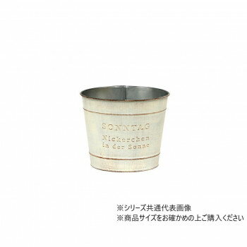 大橋新治商店 ゾンターク ホワイトD4 31-014(4.0)