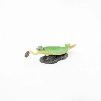 フェバリット(Favorite) FP-202 オパビニア ミニモデル 77202 (1806261)