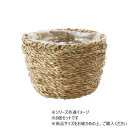 PP浅丸シーグラスナチュラルmini 8個セット 7600078NA