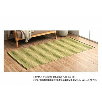 Door Mats - 日本製 洗えるカーペット グリーン 本間10畳 約477.5×382cm 1090580122102