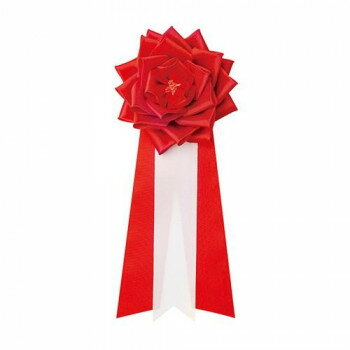 ������ ���� ��ܥ�Х� �� �� 38-330 12��