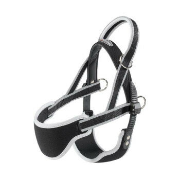 �ե����ץ饹�� ���르����ե����� �Υ�ǥ��å� 2 ��������ϡ��ͥ� ���졼 75467621