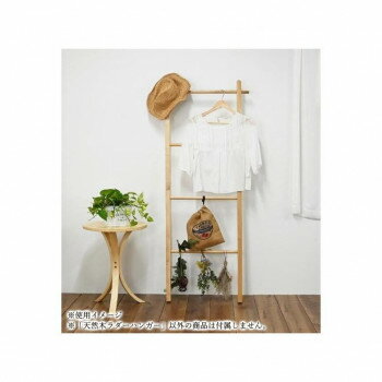 フクダクラフト 天然木ラダーハンガー ナチュラル HLD-59 NA