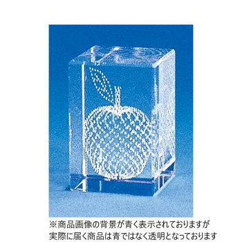 レザーアート(The apple) 18015