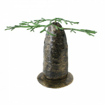 ブリキで出来たバオバブの木のアクセサリースタンドサバンナを連想させるバオバブのアクセサリースタンドです。枝の部分にアクセサリーを掛けたり、お部屋のオブジェとしても。サイズ約W12×D17×H13cm個装サイズ：13×12×17cm重量個装重量：400g素材・材質ブリキ生産国インドネシアfk094igrjs