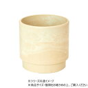 SKステップ パウダーベージュ 15.5×H15 3d00036PBE