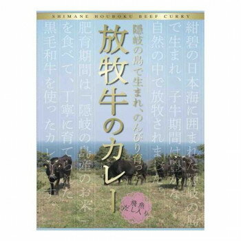隠岐放牧牛カレー 10食セット