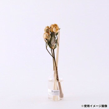 志成販売 エッセンシャルオイルのディフューザー＆ドライフラワーのセット BERGAMOT 250028C