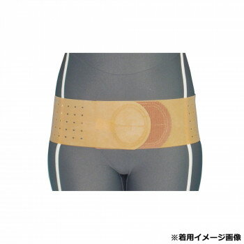 Rakuten - アシスト 丸型骨盤バンド ブラウン LL 110〜120cm 18304