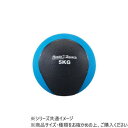 ダンノ(DANNO) メディシンボール5kg D5274