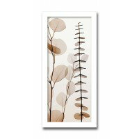 インテリアアート　X-ray Photograph　Steven N Meyers(スティーブンNマイヤーズ)　Eucalypti I 　AS-11415