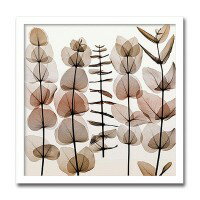 インテリアアート　X-ray Photograph　Steven N Meyers(スティーブンNマイヤーズ)　Eucalypti II　AS-11416