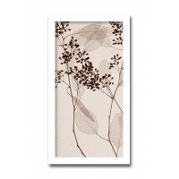 インテリアアート　X-ray Photograph　Steven N Meyers(スティーブンNマイヤーズ)　Eucalyptus II 　AS-11424