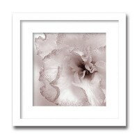 インテリアアート　X-ray Photograph　Steven N Meyers(スティーブンNマイヤーズ)　Jk driggs/Blossom(Two) 　AS-11347