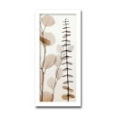 インテリアアート X-ray Photograph Steven N Meyers(スティーブンNマイヤーズ) Eucalypti I AS-11415