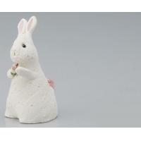 G5-0305���ĻҤ�����(��)