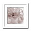 インテリアアート　X-ray Photograph　Steven N Meyers(スティーブンNマイヤーズ)　Jk driggs/Blossom(One) 　AS-11346