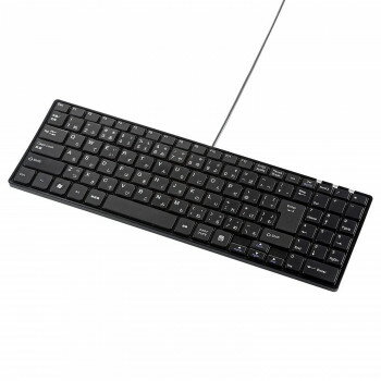 サンワサプライ USBスリムキーボード テンキー付き ブラック SKB-SL17BKN(2.0)