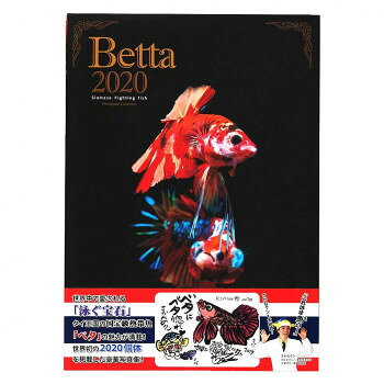 Book, Catalog - ファンタジーワールド Betta 2020 書籍 BETTA2020