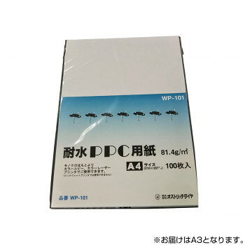 耐水性PPC用紙屋外や水回りでも使用できるコピー用紙です。サイズ個装サイズ：49×34×4cm重量個装重量：800g仕様81.4g/平方メートル生産国日本fk094igrjs