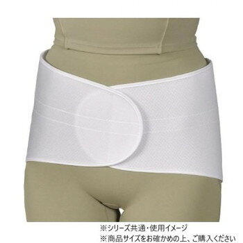 メッシュタイプのステー入り腰部固定帯。背部にあるアルミステーを曲げることが可能です。伸縮性、フィット性、支持性に優れています。サイズ個装サイズ：18×24×3cm重量個装重量：168g生産国日本fk094igrjs
