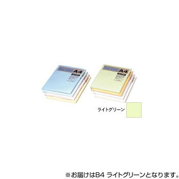 オストリッチダイヤ ニューファインカラーPPC用紙 B4 ライトグリーン 500枚入 FRG5-B4