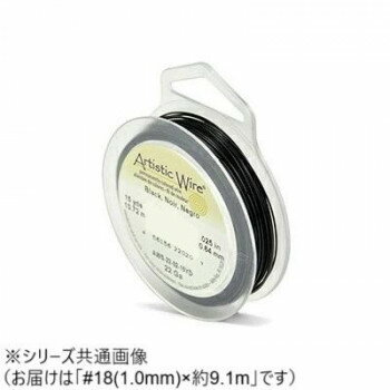 AW ワイヤー（オールドスプールス） ブラック18(1.0Φ) 18（1.0mm）約9.1m
