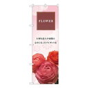 Nのぼり FLOWER 大切な KMN W600×H1800mm 81803(3)