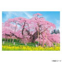ビバリー 風景日本 (桜)ジグソーパズル 三春の滝桜 1000ピース 1000-049(3)