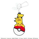 ホクシン交易 ポケットモンスターパターカバーホルダー&ネームプレート PMNP001