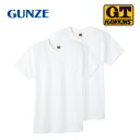 グンゼ インナーTシャツ G.T.HAWKINS 半袖 丸首 2枚組 ホワイト L HK10132