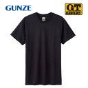 グンゼ インナーTシャツ G.T.HAWKINS 半袖 丸首 2枚組 ブラック L HK10132