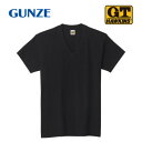 グンゼ インナーTシャツ G.T.HAWKINS 半袖 Vネック 2枚組 ブラック L HK10152