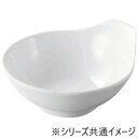 福井クラフト メラミン12.5雅渕太とん水白グロス 51025640