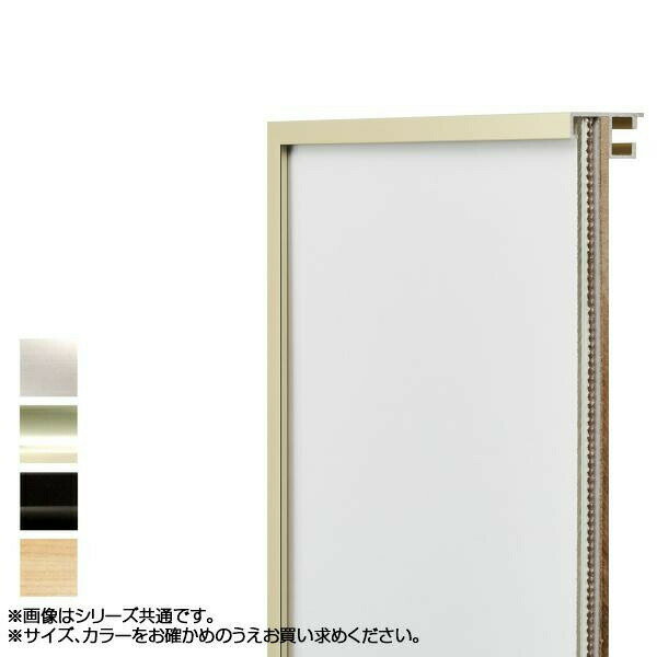 アルナ アルミフレーム デッサン額 T25 デッサン全紙　ゴールド・2108