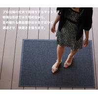 超吸水マット　ウォーターホース　屋内屋外兼用　88×146