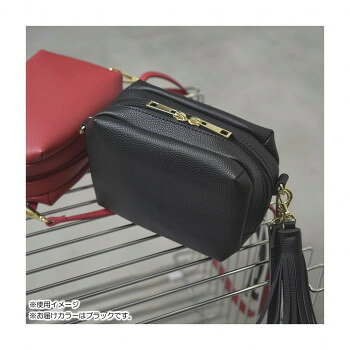 DOT＆STRIPE フリンジ付ミニショルダー 019 ブラック DS-23457