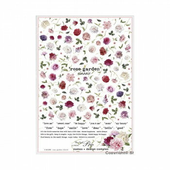 Sha-Nail Pro 写ネイル ネイルシール rose garden classic/ローズガーデンクラシック N-RG001